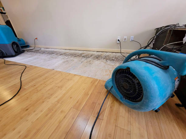 Professional Water Removal technician working in Bethel, OH